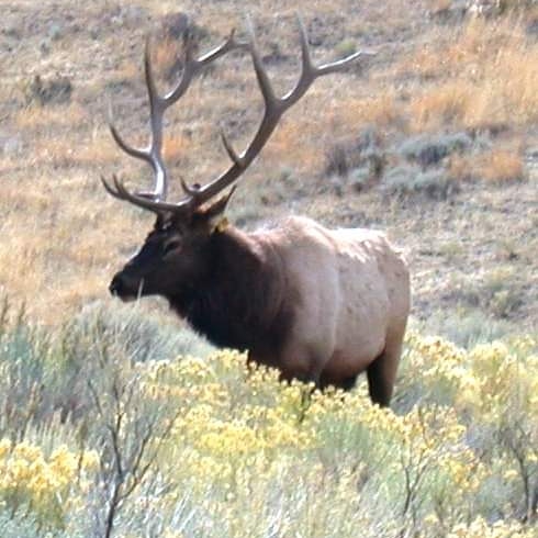 IMG_20190924_155511_779