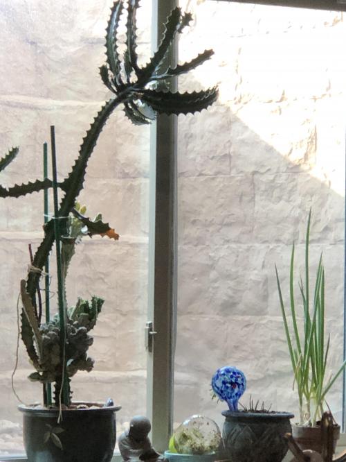 EF23BDCA-3C1D-4E9D-85A6-EDC5E2F3F055