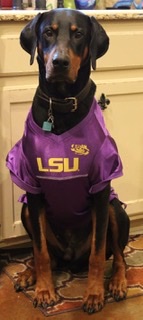 3E71E7A7-33CE-45B9-A701-5AE13BE2DF57