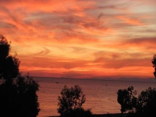 47388976_750221742004649_6247952546841755648_n