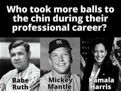 received_1506552896399667