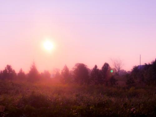 04C5061E-C6E3-45E7-8D62-5073E89951E5