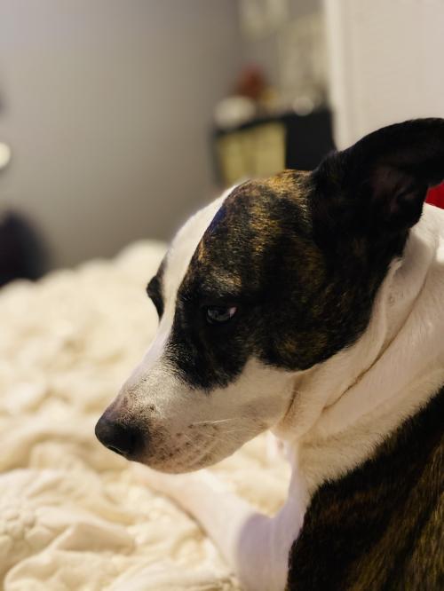 70A72B7B-2B89-400B-BE31-205FE59B207B