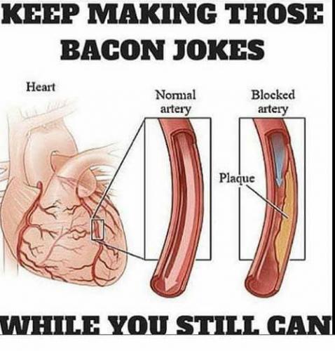 33922949_10204509197485880_9048956563175243776_n_10204509197445879