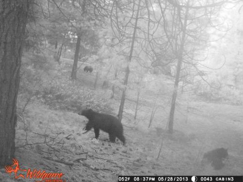 944706_10201513533858818_1409009047_n_10201513533858818