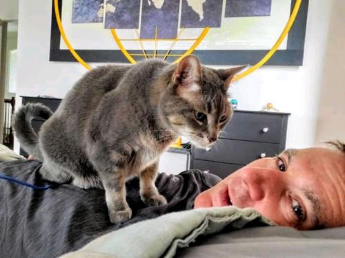 11:10:21 GMT+0100 (WAT)