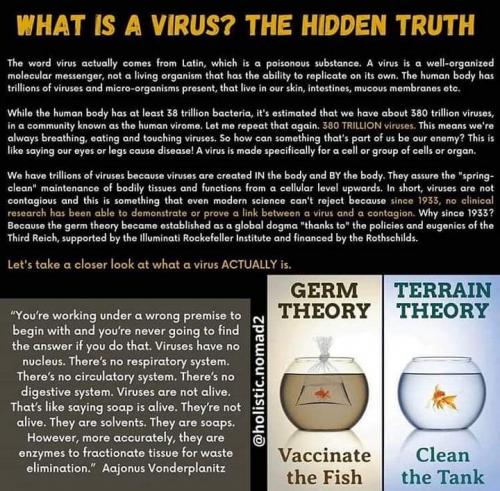 FB_IMG_1603067176775