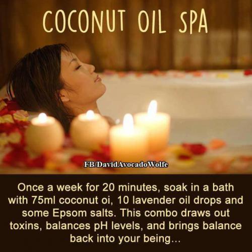 33767041_10204509260367452_2656423524385685504_n_10204509260327451