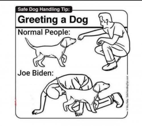 Screenshot_2020-10-01-18-55-25