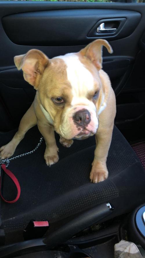 00:11:30 GMT+0100 (BST)