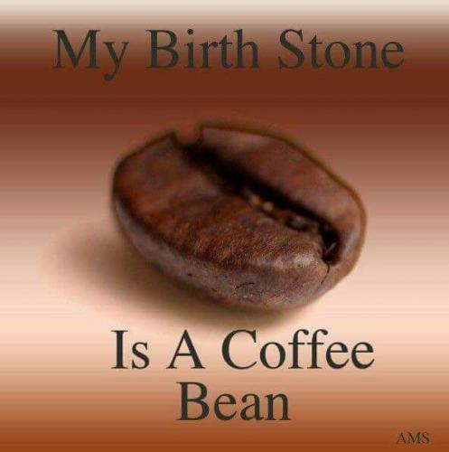 12932873_10201447224858478_6290898017905390336_n_10201447224858478