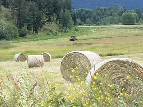 15:46:59 GMT-0700 (PDT)