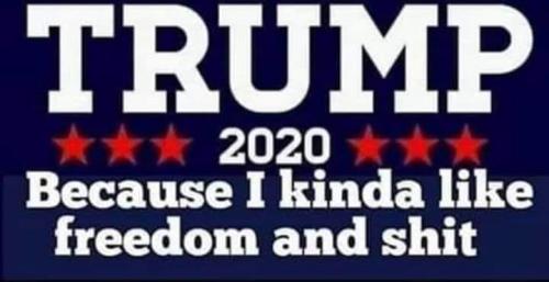 115932263_156054696018980_3532904774262271733_n