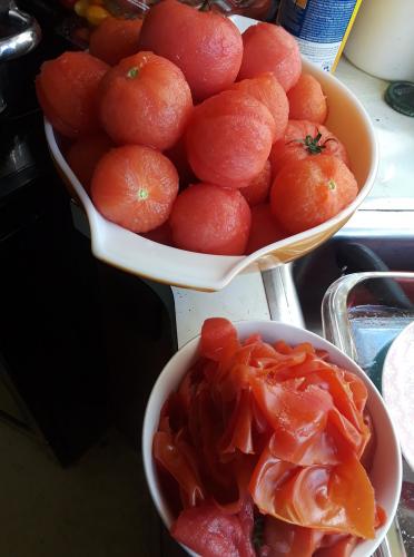 69217238_10206083675766853_4574376049843896320_o_10206083675686851