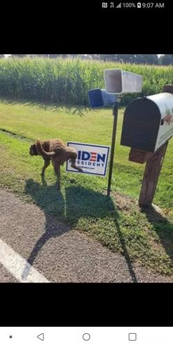 21:37:37 GMT-0400 (EDT)