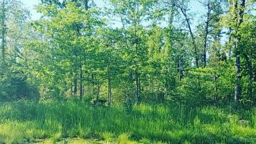 16:32:14 GMT-0500 (CDT)