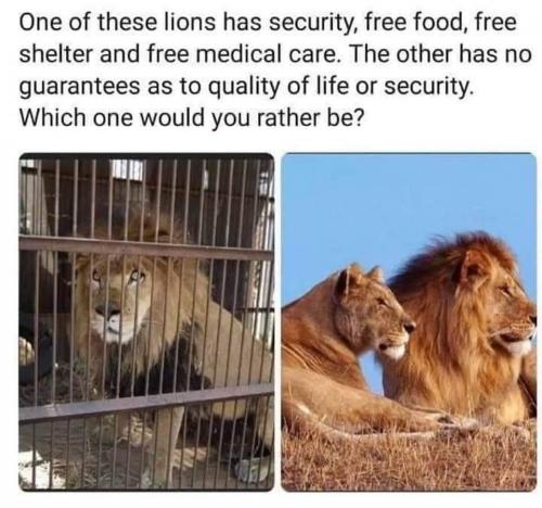 11:05:18 GMT-0400 (EDT)