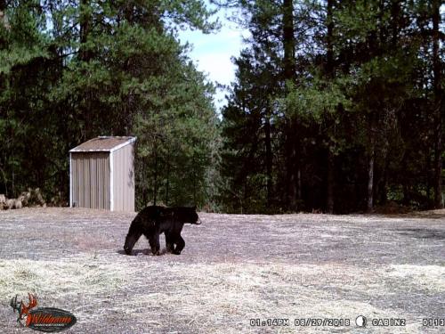 41529148_10217220229396390_5686352832354058240_o_10217220229356389