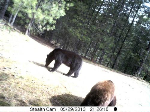 1002831_10201513531538760_783679071_n_10201513531538760