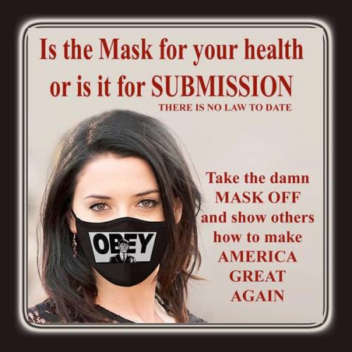 121985545_1720001638175104_3684999282856061883_n