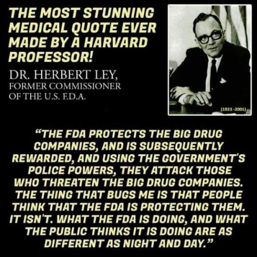 FB_IMG_1558790997875