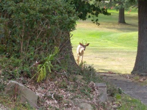 21728186_10203572485428664_5244850300115078044_n_10203572485428664