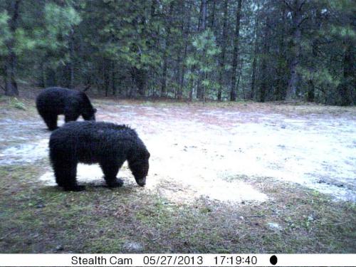 1017287_10201513525498609_1847833769_n_10201513525498609