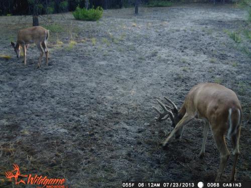 998770_10201794155434182_2122900054_n_10201794155434182