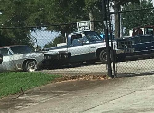 110076009_2650987115218867_850402070387888573_n_2650987108552201