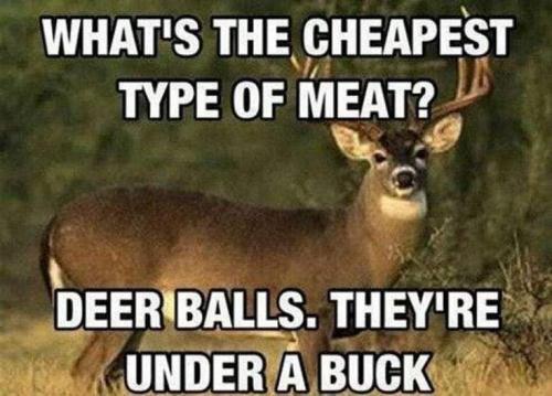 05:37:44 GMT-0500 (CDT)