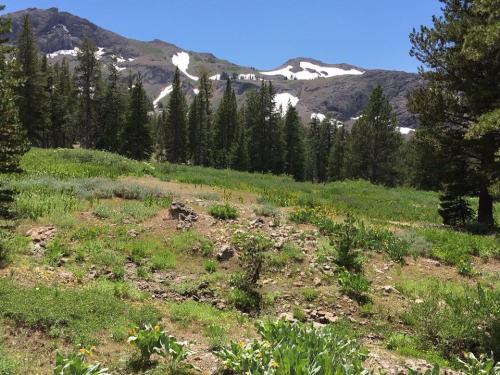 5A1255B2-7051-4081-9AEE-E3E148B4067D