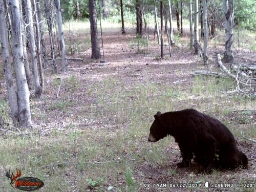 67263885_10219678057120547_8923714865852317696_o_10219678057080546