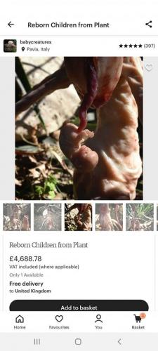 109916617_2843467462588874_2614177859178658026_o