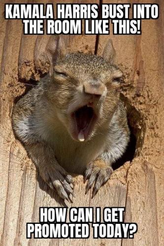 07:44:08 GMT-0400 (EDT)