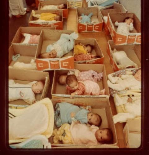 94639743_2770110423257912_8052553369165758464_n