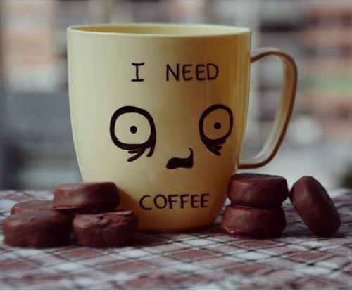 13659001_10201785561676687_7906617167520961921_n_10201785561676687