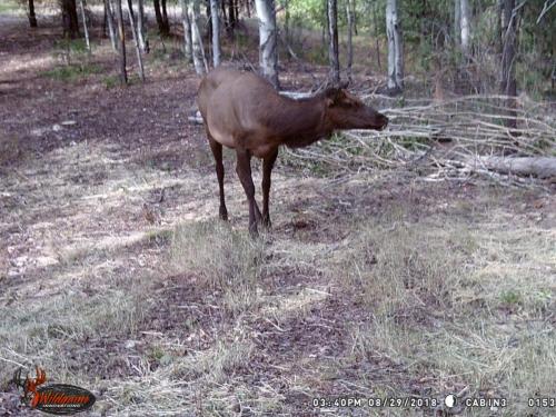 41555334_10217220280397665_7362875921730109440_o_10217220280357664