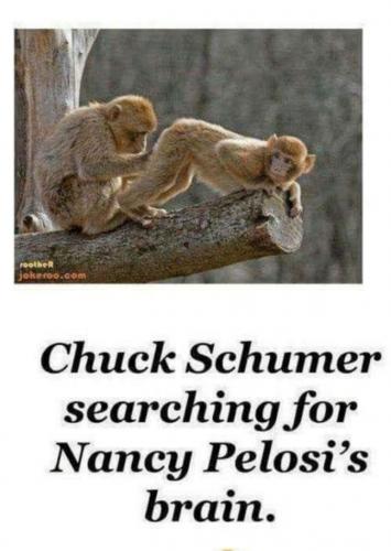 11:38:28 GMT-0500 (CDT)