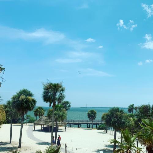 924A89A0-37DF-4D4C-BB90-B49EA19233AE