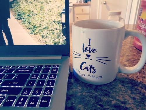 03:10:05 GMT-0500 (CDT)