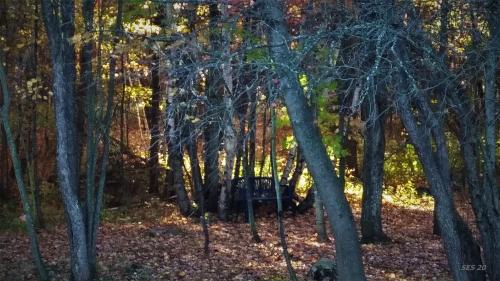 20201009_084549_Burst01 (2)