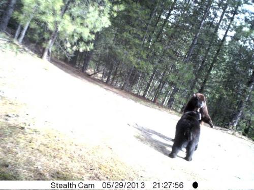 970242_10201513532018772_171367142_n_10201513532018772