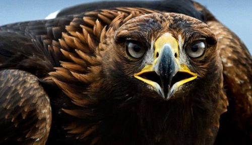 118928040_3397784940313748_8817316456633711903_n