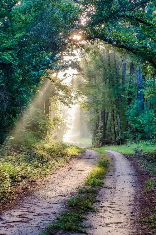 FB_IMG_1597374342462