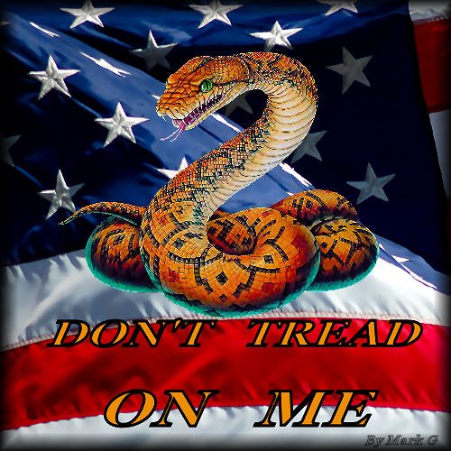 DON'T TREAD ON ME !_bak