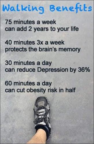 FB_IMG_1596516570067