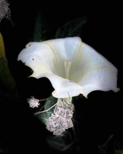 FB_IMG_1590100663240