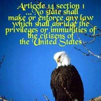 10427273_1042526655788970_2404702393972981533_n