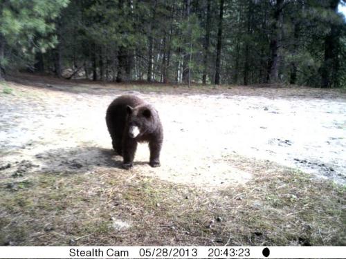 600515_10201513530818742_1195227085_n_10201513530818742