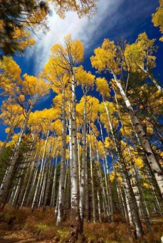 tumblr_oenw4wO6ao1rmxahho1_540